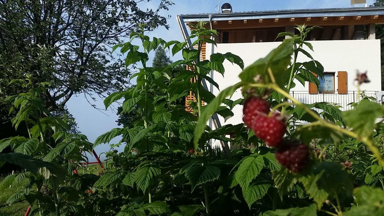 فندق Garni Fobbie برينتونيكو المظهر الخارجي الصورة